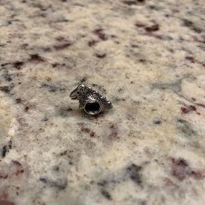 Pandora Bracelet Charms